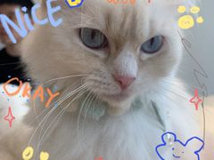 -怪兽屋·羊驼·猫咖·狗咖(俊华广场店)