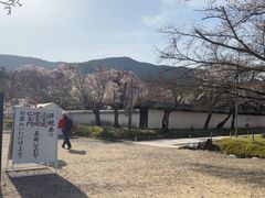 -醍醐寺