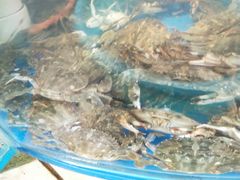 -晓伟海鲜家常菜