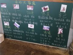 -喵屿·大理花园猫咖