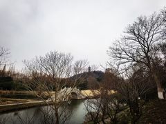 -焦山景区-万佛塔