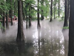 -东湖落雁景区