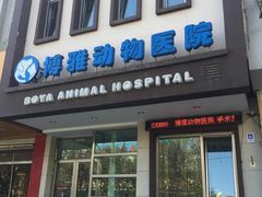 -纳吉亚猫专科动物医院博雅分院