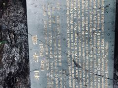 -宁波五龙潭景区