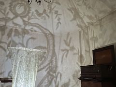 -河口湖八音盒之森美术馆