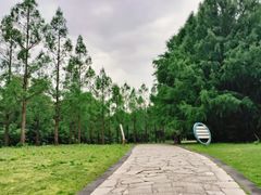 -同里国家湿地公园