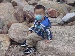 -宝安西湾红树林湿地公园