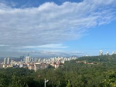 -青岛电视塔