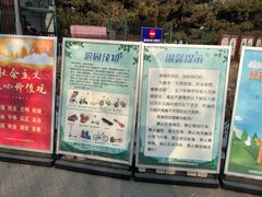 -大兴滨河森林公园