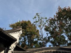 -绮园景区