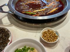红锅锅底-蜀滋香鲜鱼美蛙火锅(339店)