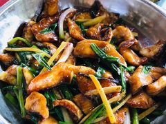 -鲤鱼塘农家山庄