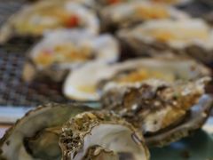 高压锅清蒸海蛎子-蚝英雄鲜蚝自助专门店(长楹天街直营店)