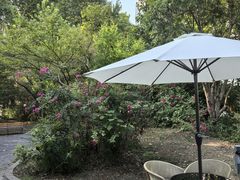 -同济大学四平路校区游泳馆