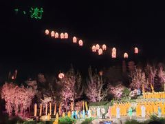 -禅宗少林·音乐大典