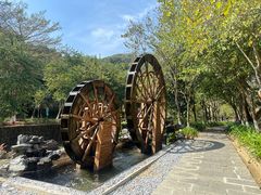 -广州白江湖森林公园