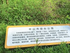 -田心森林公园