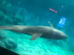 -福州罗源湾海洋世界旅游区