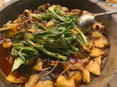 黑鱼-都江堰石锅鱼