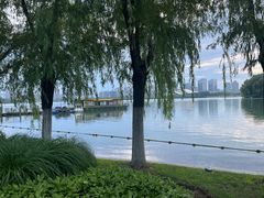 -天鹅湖体育公园