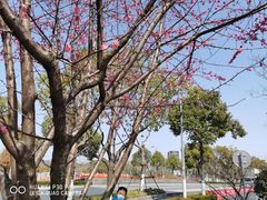 -恒生万鹂广场(唐镇店)