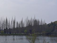 -宜兴龙背山森林公园