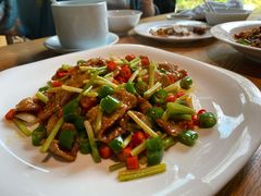 辣炒猪爽肉-新荣记(西溪湿地店)