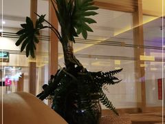 -御池园(顾村公园店)