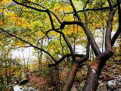 -青峰峡国家森林公园