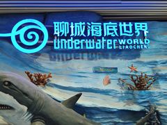 -聊城海底世界
