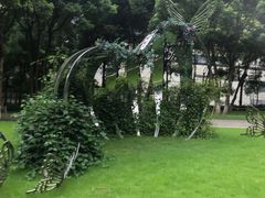 -重庆市江北嘴中央商务区中央公园