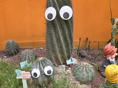 -正佳雨林生态植物园