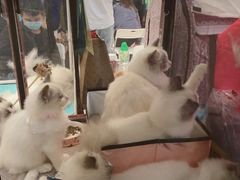 -凯德广场(武胜路店)