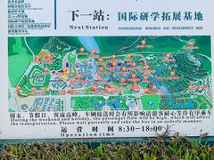 -客天下恐龙水晶玻璃桥