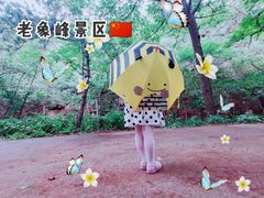 -老象峰