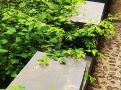 -圣莲山风景区
