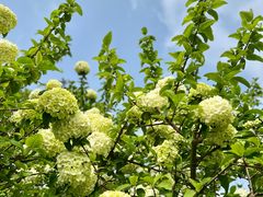 -白塘生态植物园