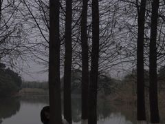 -艾溪湖湿地公园