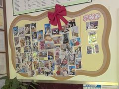 -顺强宠物诊所·狂犬免疫·夜诊·骨科(嘉定店)