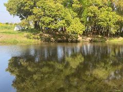 -嘉北郊野公园