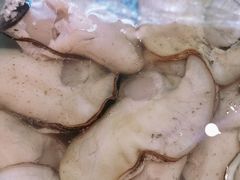 生蚝-台山侨雅海鲜粥底火锅(台山侨雅花苑店)