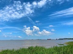-上海吴淞炮台湾国家湿地公园