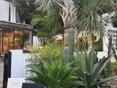 -自由生长植物工作室(深港花卉中心店)