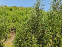 -响堂山石窟-北响堂山石窟