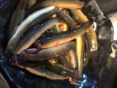 -铜元老码头鳝鱼火锅