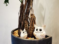 -Willing·Coffee&Brunch&Dinner(万达店)