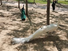 -南大港湿地风景区