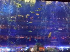 -成都浩海立方海洋公园