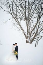 -盛夏光年studio·美学·电影感·定制