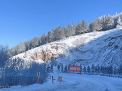 -塞罕坝国家级自然保护区